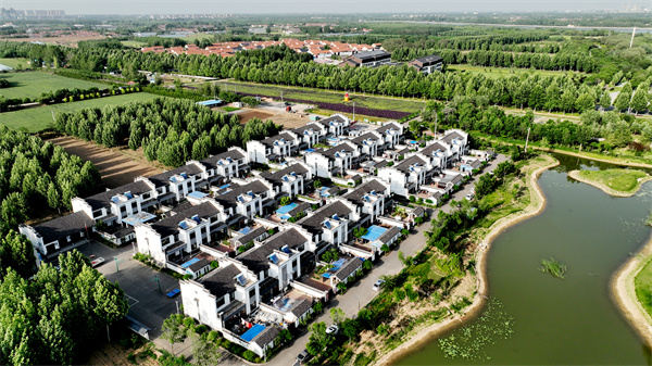 廣饒縣廣饒街道橋頭王村航拍實景.jpg